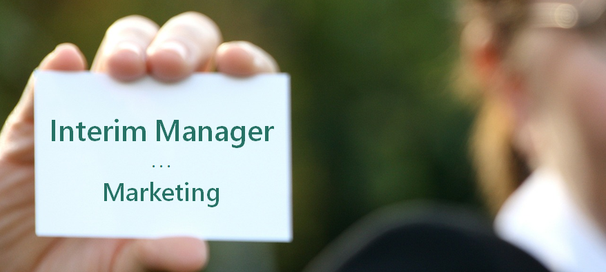 Interim Manager